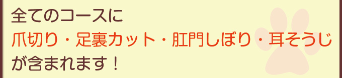 全てのコースに爪切り・足裏カット・肛門しぼり・耳そうじが含まれます!
