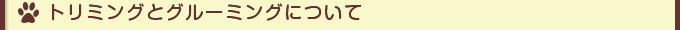 グルーミング