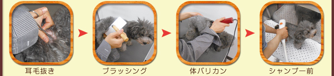 グルーミング手順