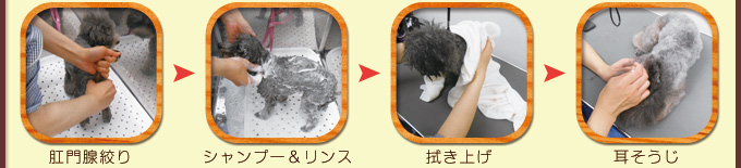 グルーミング手順